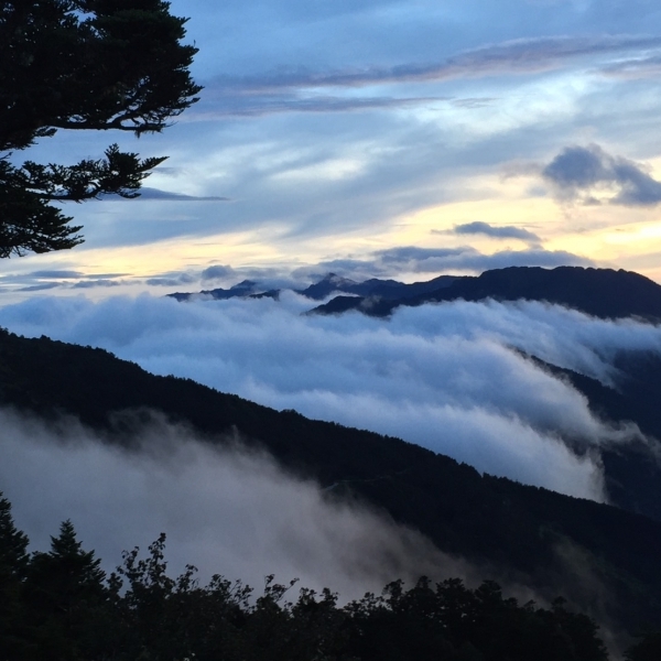 春天 日出 雲海